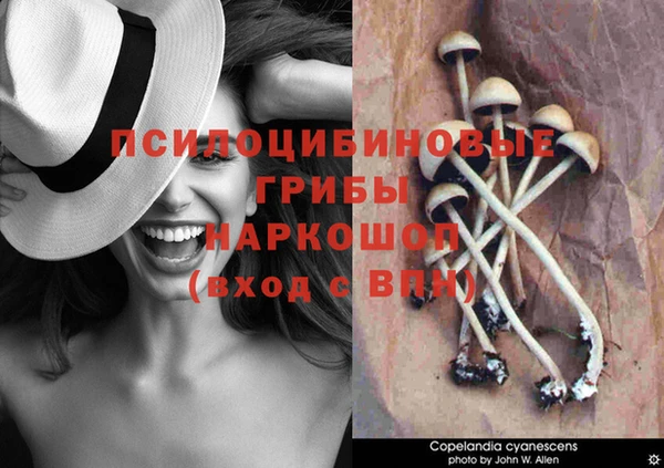 СК Абинск