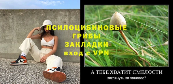 МДПВ Абдулино