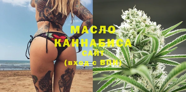 стаф Семилуки