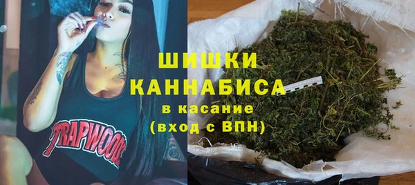 стаф Семилуки