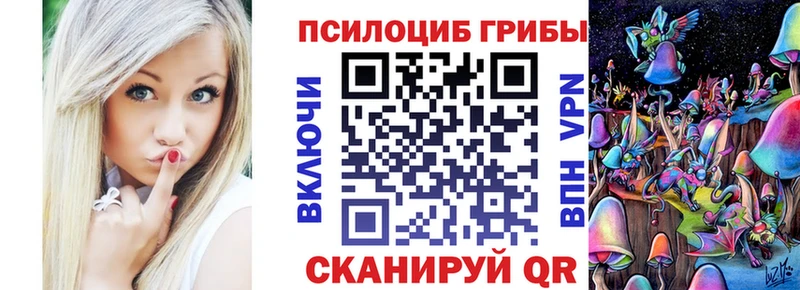 где найти наркотики  Болотное  Псилоцибиновые грибы мицелий 